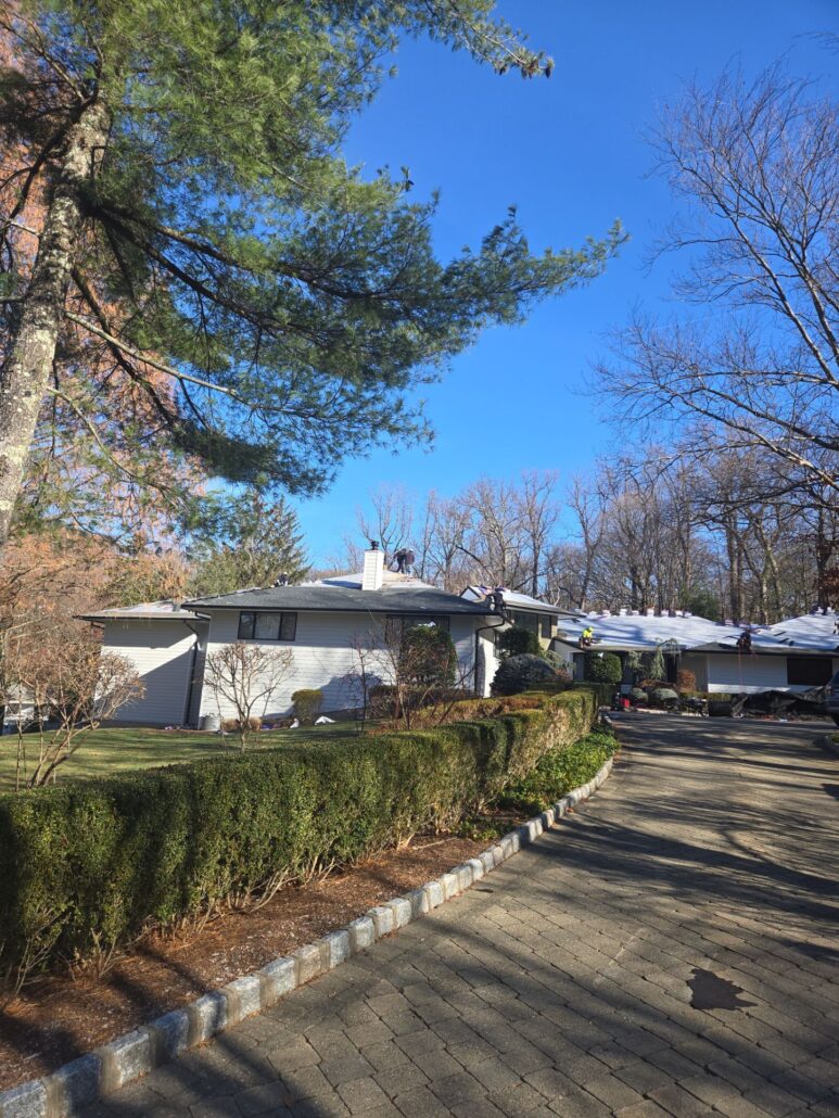 13-Dec 09, 2025 17-01-16-xUgN